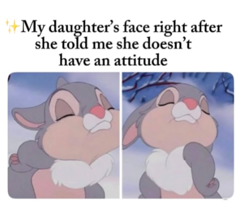 My daughter's face right after she told me she doesn't have an attitude