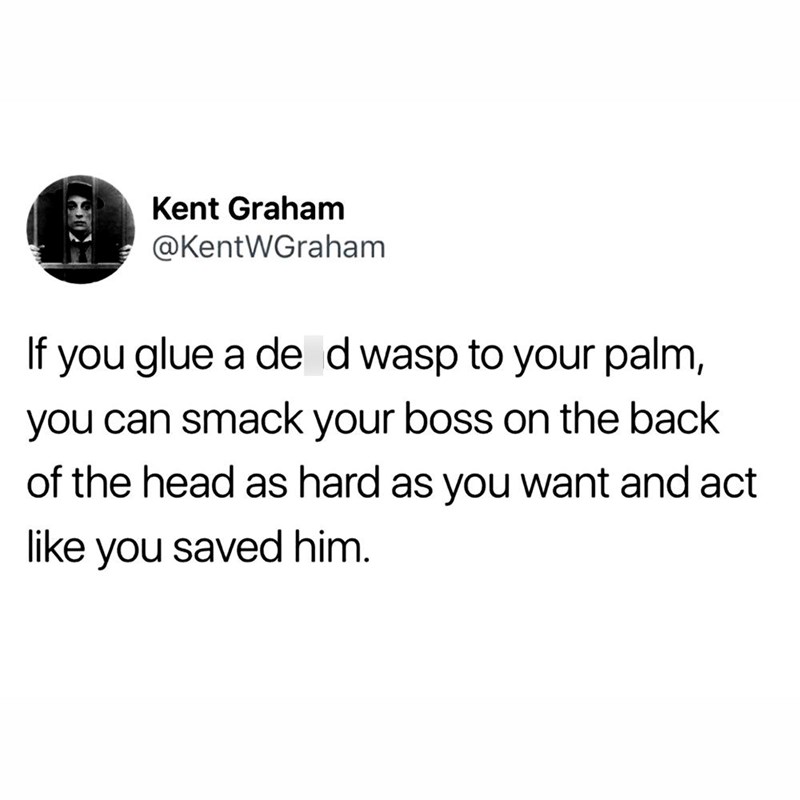 Kent Graham @KentWGraham If you glue a de d wasp to your palm, you can smack your boss on the back of the head as hard as you want and act like you saved him.