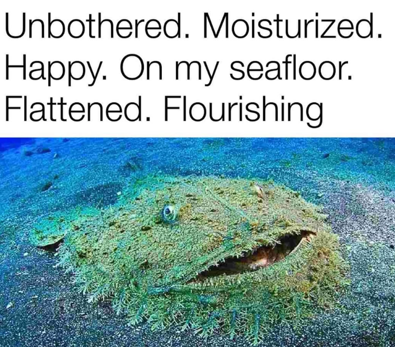 Unbothered. Moisturized. Happy. On my seafloor. Flattened. Flourishing