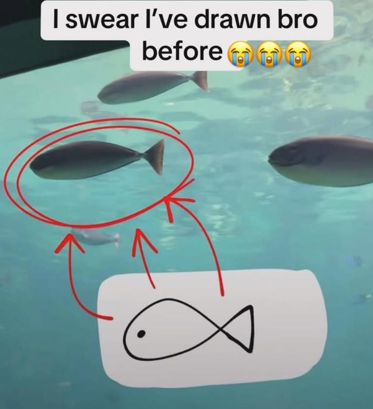 I swear I've drawn bro before
