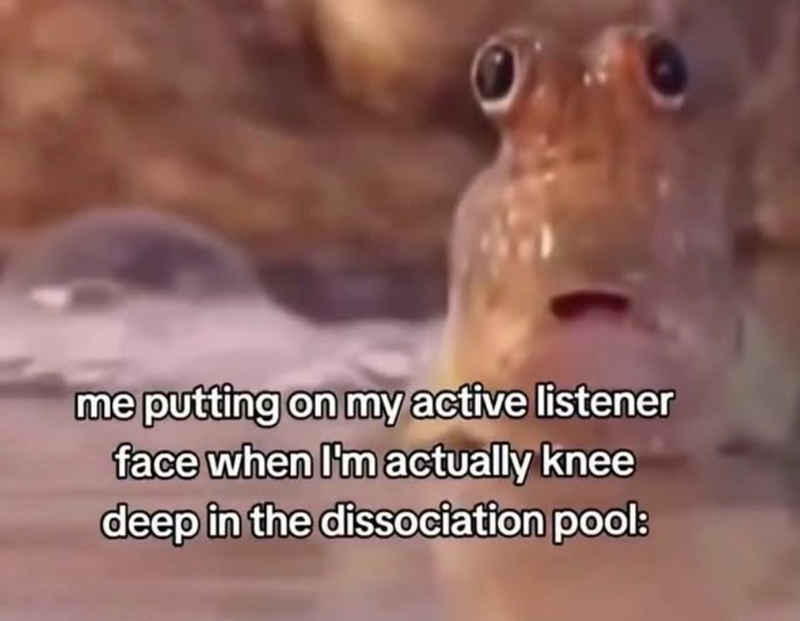 me putting on my active listener face when I'm actually knee deep in the dissociation pool: