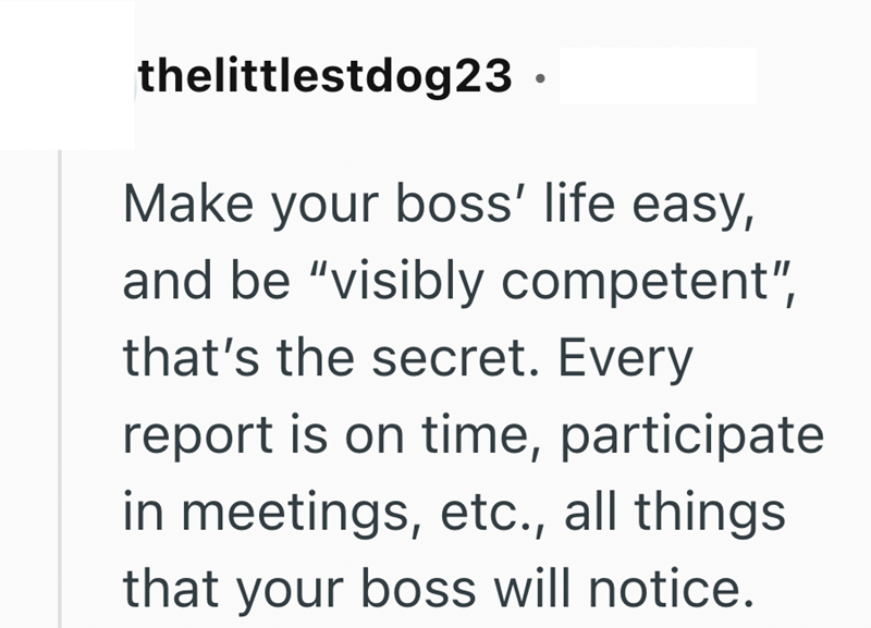 thelittlestdog23. Make your boss' life easy, and be "visibly competent", that's the secret. Every report is on time, participate in meetings, etc., all things that your boss will notice.