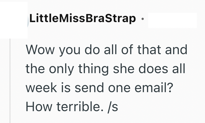 LittleMissBraStrap Wow you do all of that and the only thing she does all week is send one email? How terrible. /s