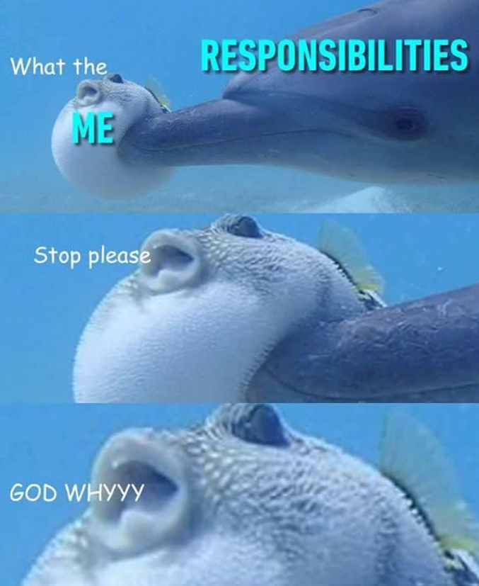 What the RESPONSIBILITIES ME Stop please GOD WHYYY