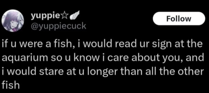 yuppie✰ @yuppiecuck Follow if u were a fish, i would read ur sign at the aquarium so u know i care about you, and i would stare at u longer than all the other fish