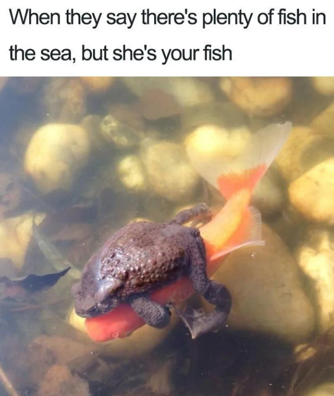 When they say there's plenty of fish in the sea, but she's your fish