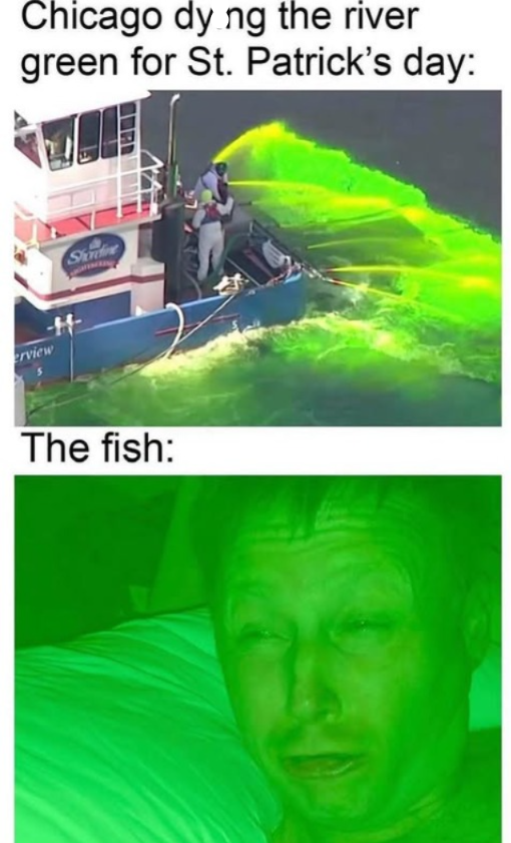 erview Chicago dy ng the river green for St. Patrick's day: Stordine The fish: