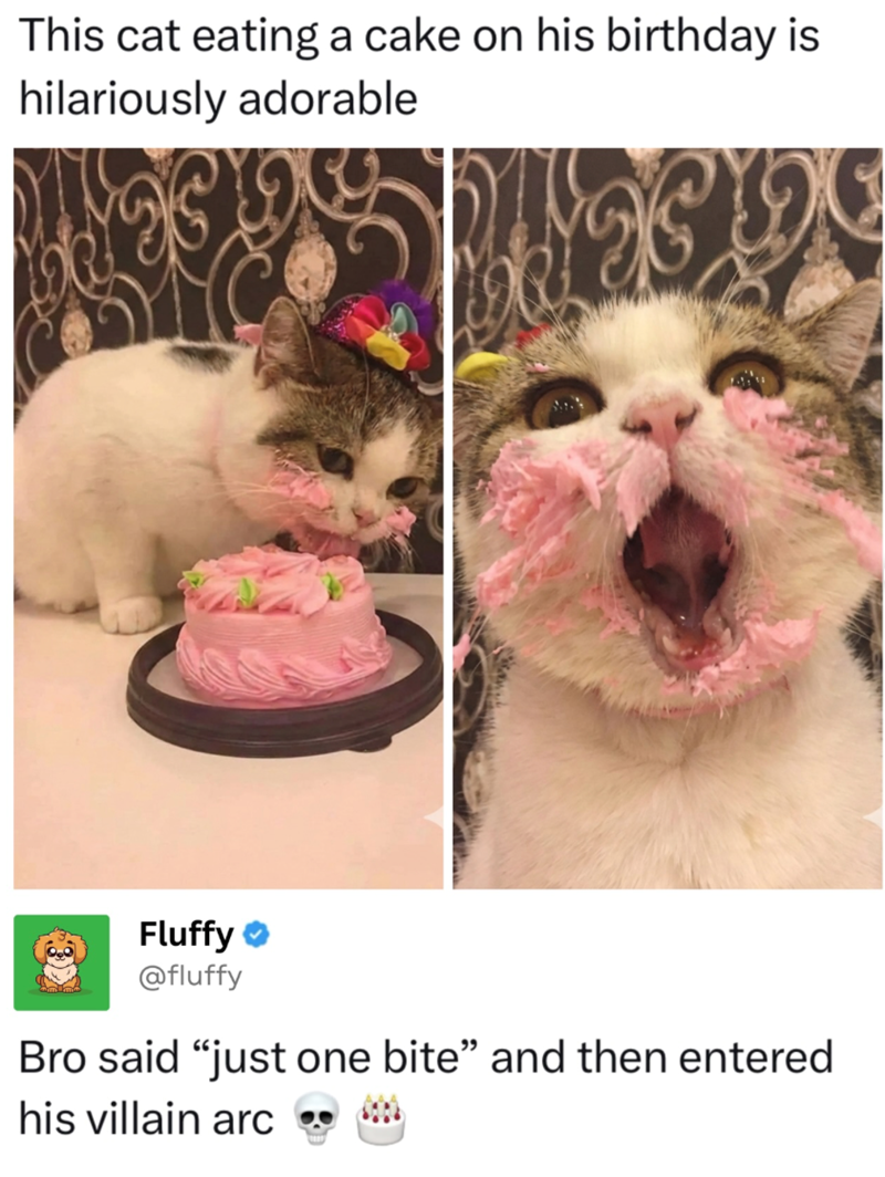 This cat eating a cake on his birthday is hilariously adorable Fluffy @fluffy Bro said "just one bite" and then entered his villain arc