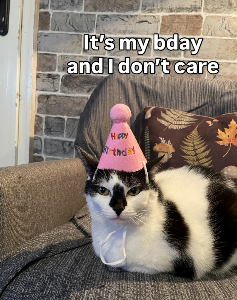 It's my bday and I don't care Happy Birthday