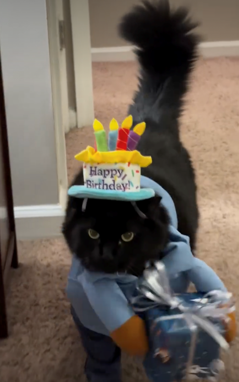Happy, Birthday!