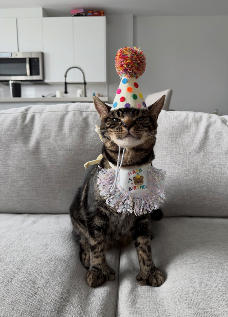 HA P BIRTHDA D