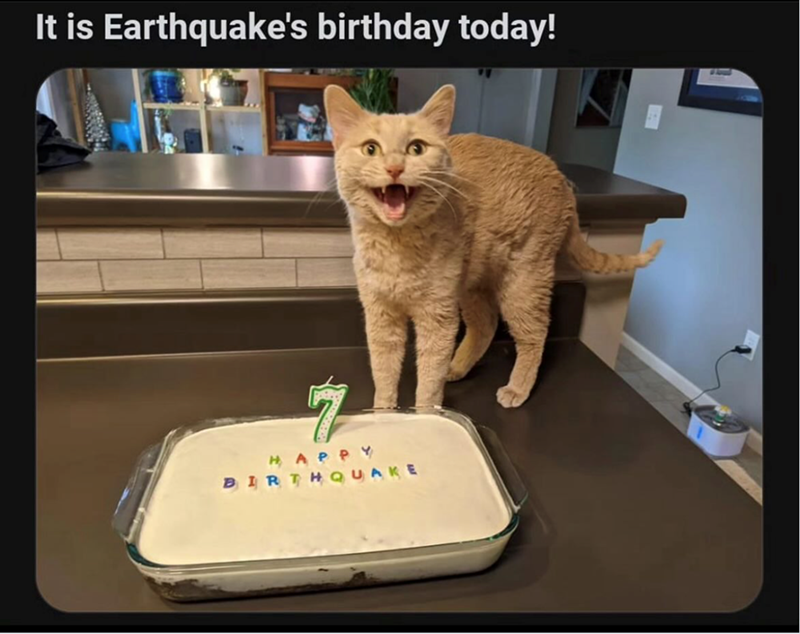 It is Earthquake's birthday today! HAPPY BIRTHQUAKE