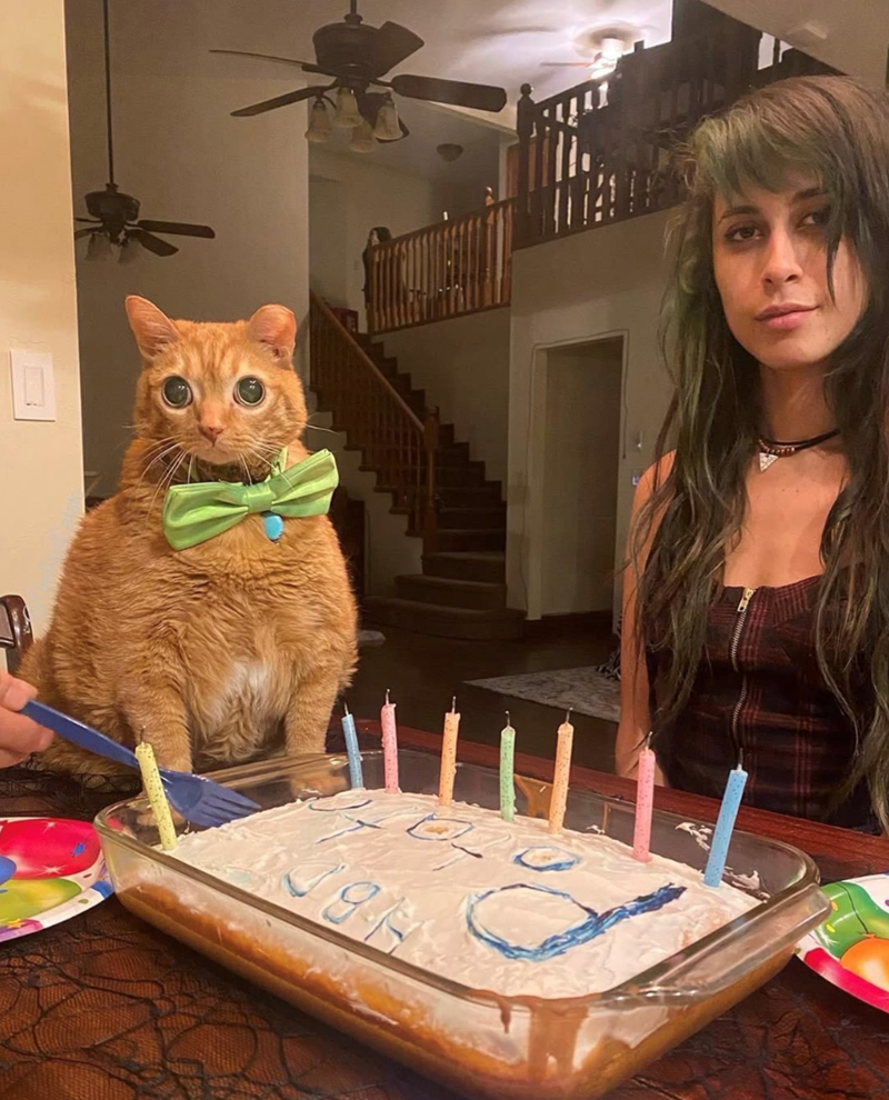 PAGEVEN HBD