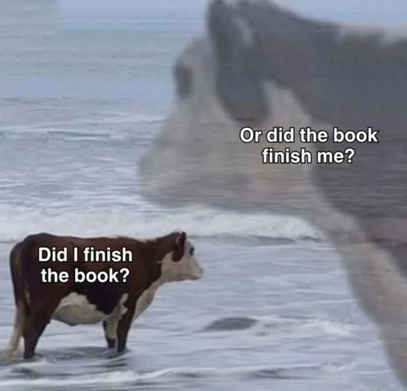 Did I finish the book? Or did the book finish me?