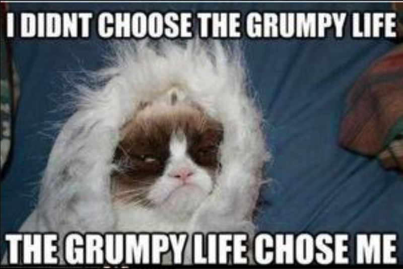 I DIDNT CHOOSE THE GRUMPY LIFE THE GRUMPY LIFE CHOSE ME