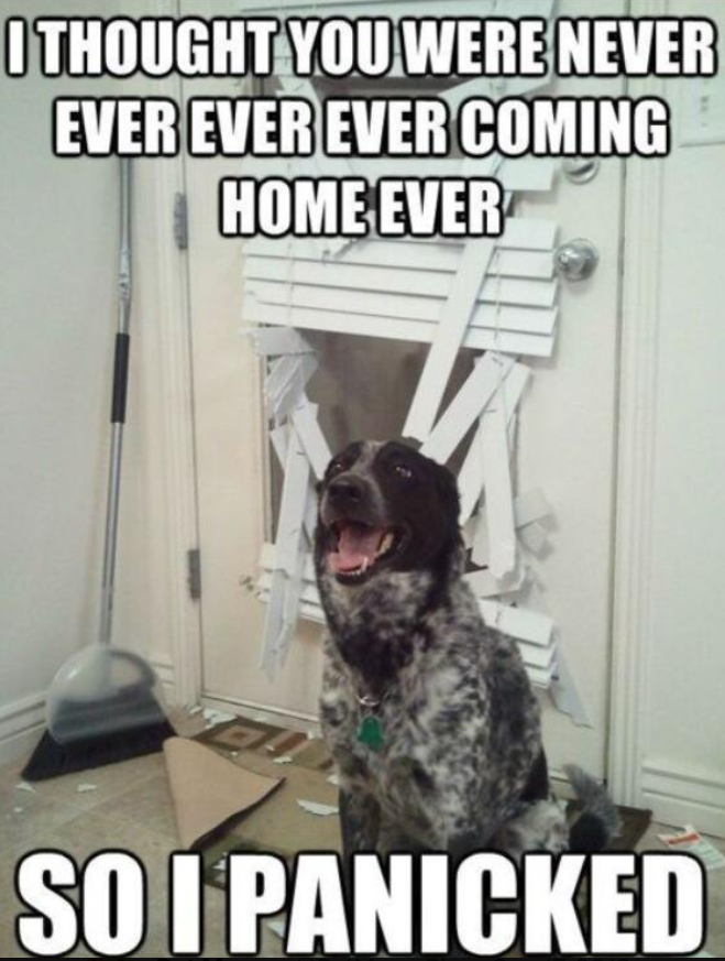 I THOUGHT YOU WERE NEVER EVER EVER EVER COMING HOME EVER SO I PANICKED