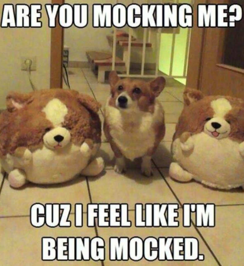 ARE YOU MOCKING ME? CUZ I FEEL LIKE I'M BEING MOCKED.