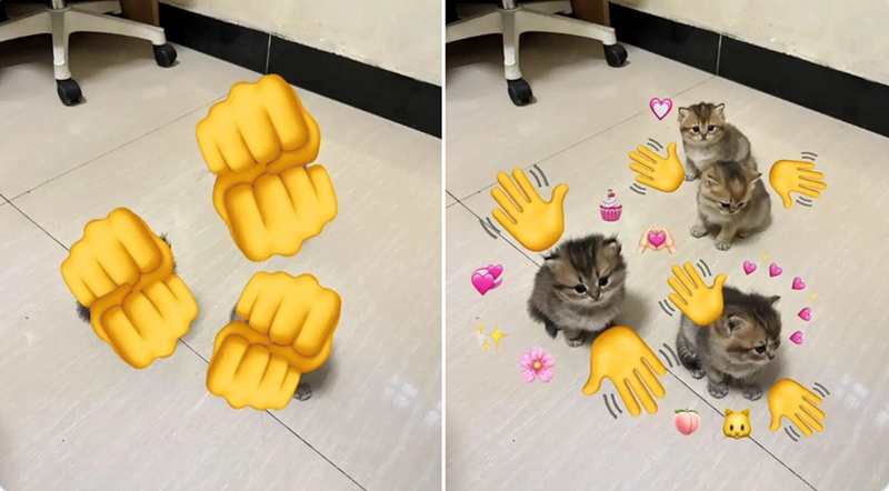 美