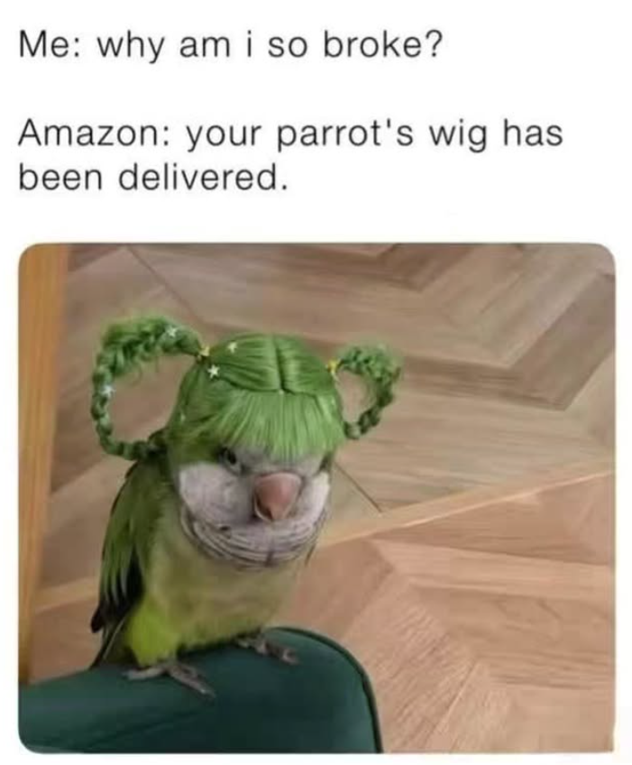 Me: why am i so broke? Amazon: your parrot's wig has been delivered.