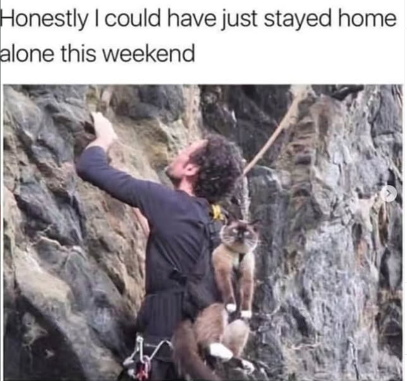 Honestly I could have just stayed home alone this weekend