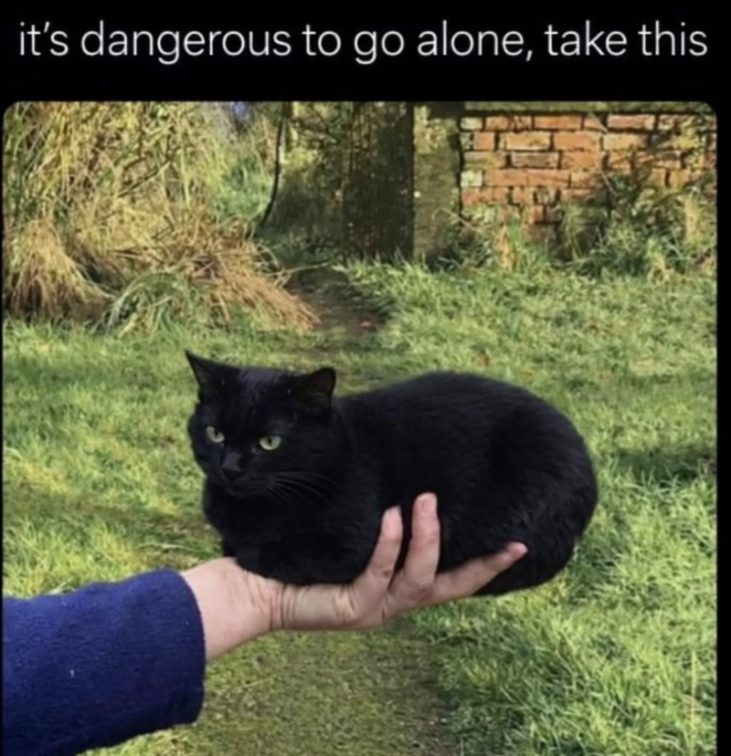 it's dangerous to go alone, take this