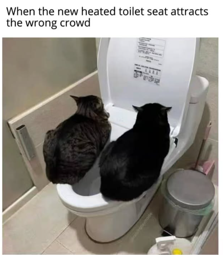When the new heated toilet seat attracts the wrong crowd plevmode