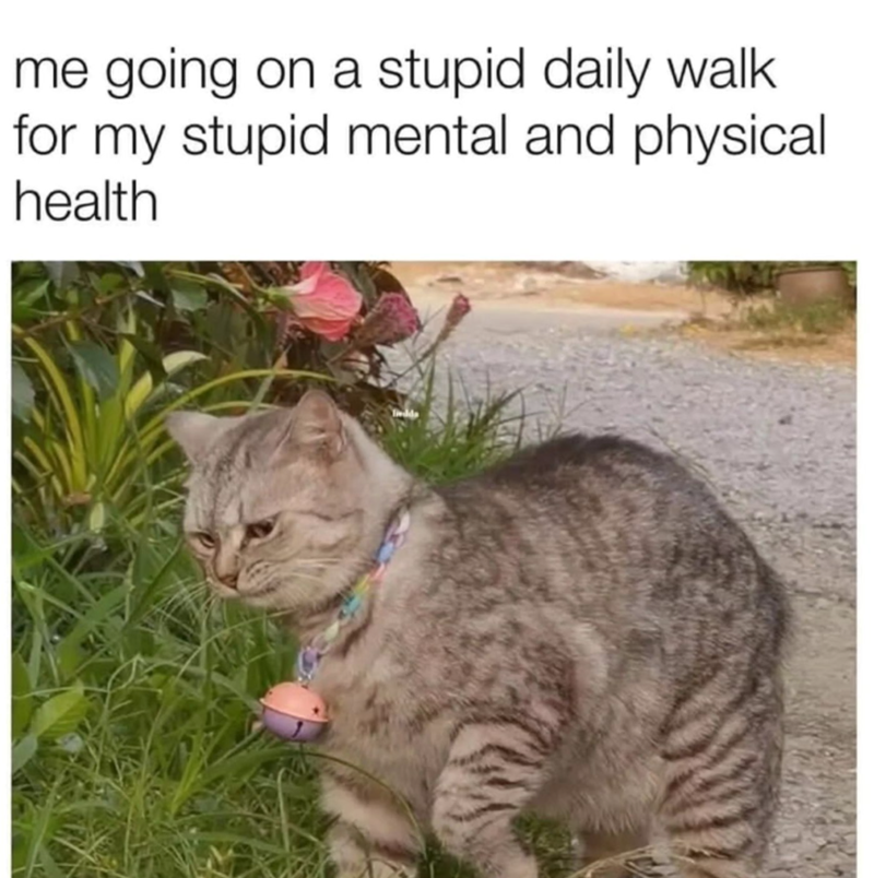 me going on a stupid daily walk for my stupid mental and physical health
