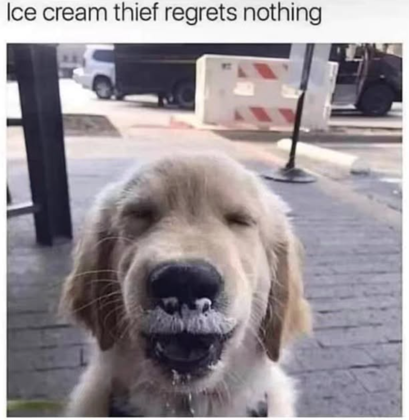 Ice cream thief regrets nothing
