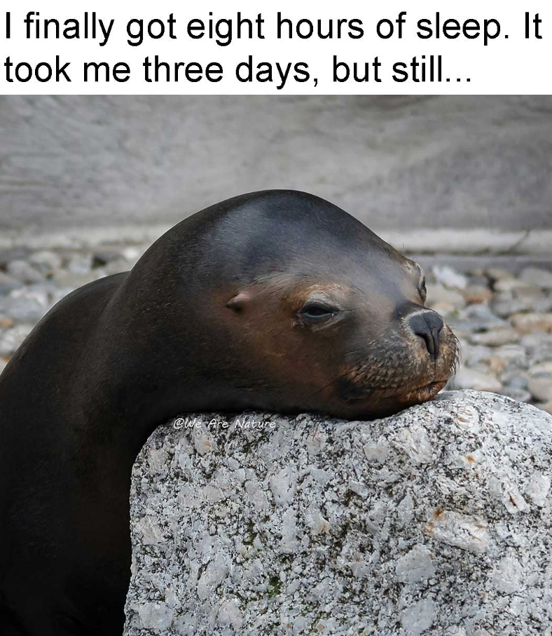 I finally got eight hours of sleep. It took me three days, but still... @We Are Nature