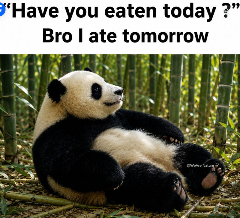 'Have you eaten today?" Bro I ate tomorrow @WeAre Nature