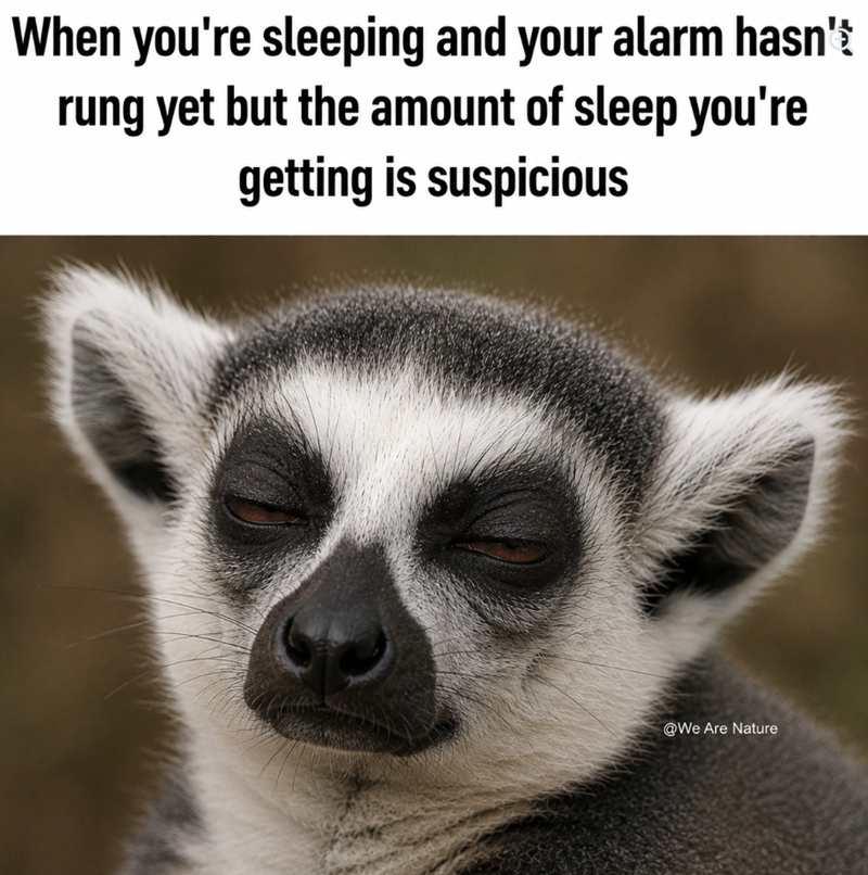When you're sleeping and your alarm hasn' rung yet but the amount of sleep you're getting is suspicious @We Are Nature