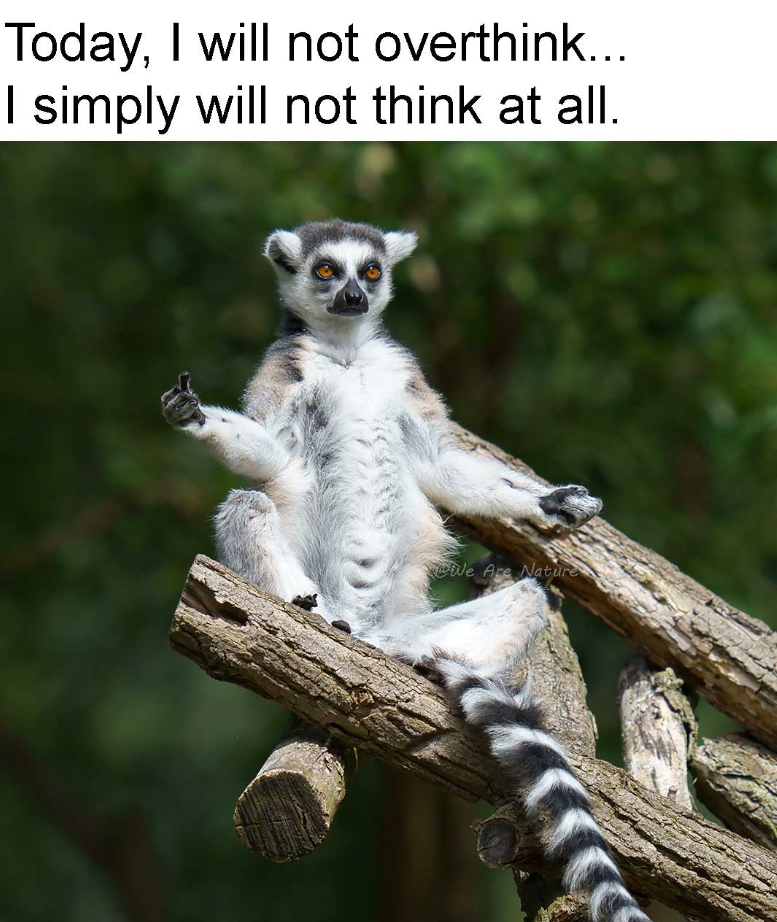 Today, I will not overthink... I simply will not think at all. We Are Nature