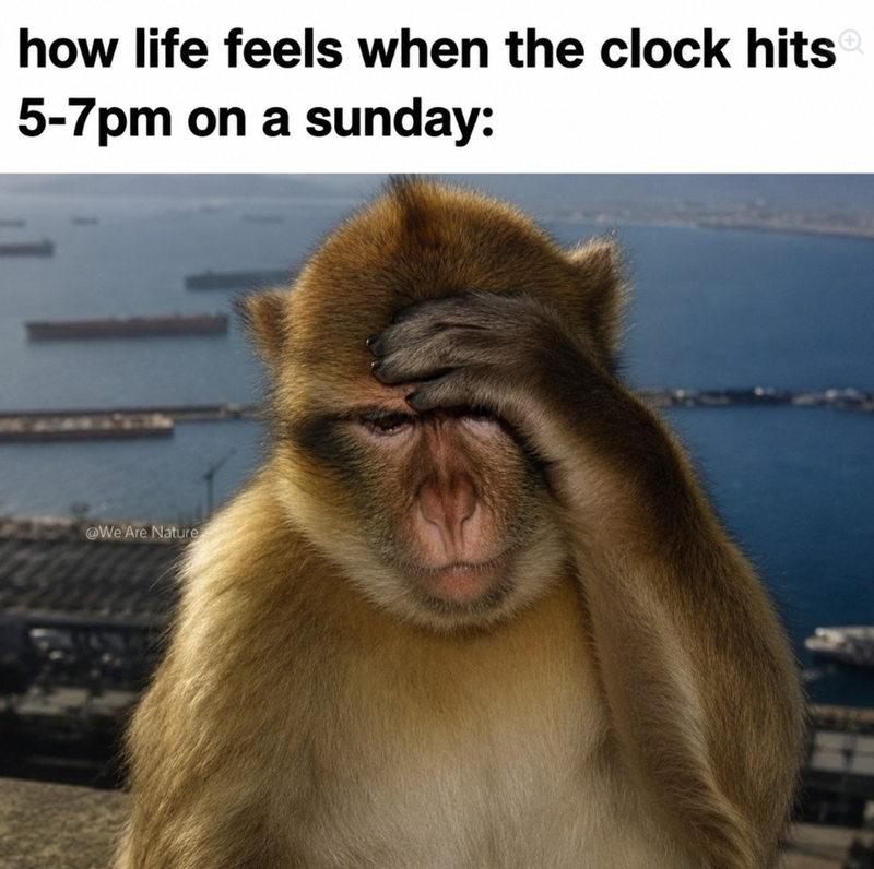 how life feels when the clock hitsⓇ 5-7pm on a sunday: @We Are Nature