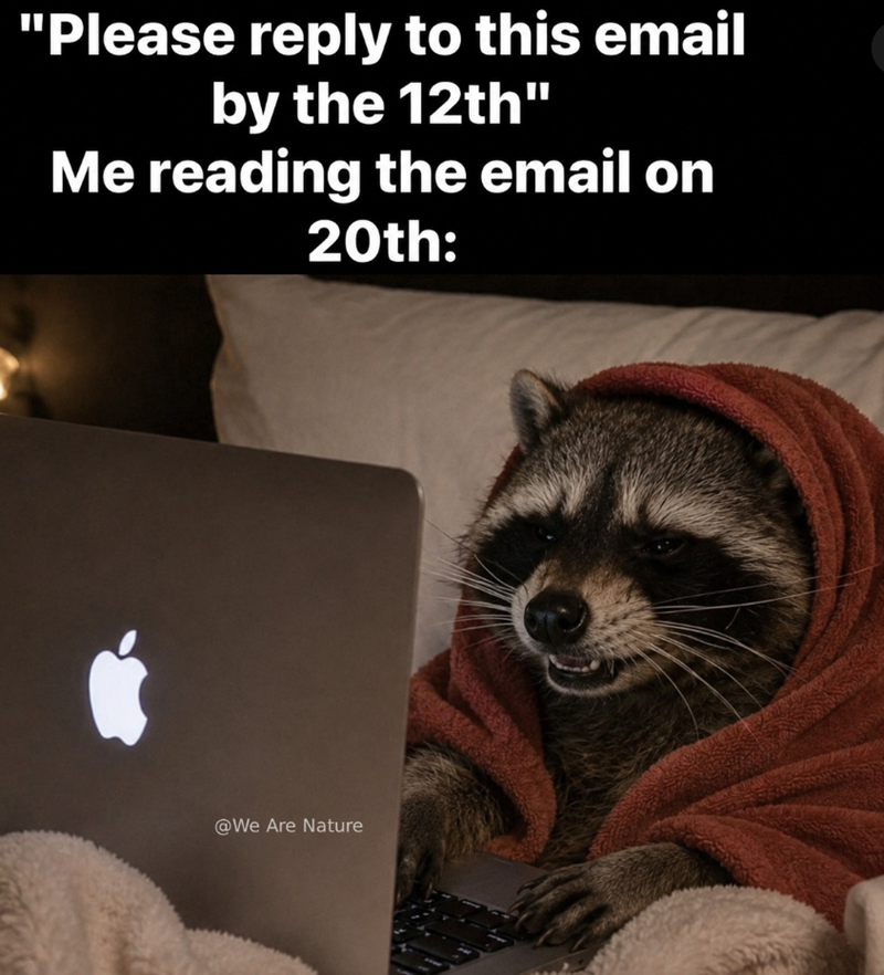 "Please reply to this email by the 12th" Me reading the email on 20th: @We Are Nature