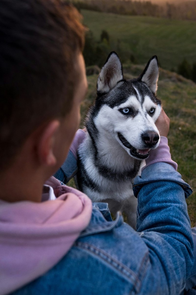 A man with his husky