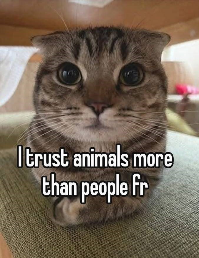 I trust animals more than people fr