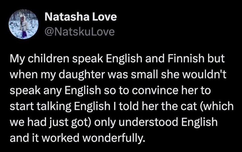 Natasha Love @NatskuLove My children speak English and Finnish but when my daughter was small she wouldn't speak any English so to convince her to start talking English I told her the cat (which we had just got) only understood English and it worked wonderfully.