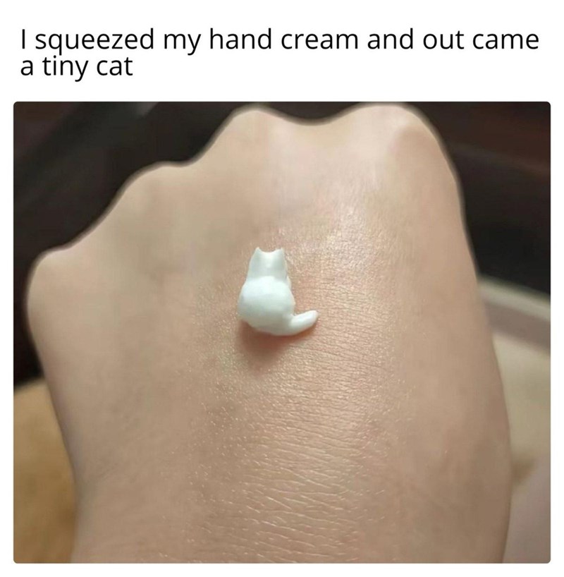 I squeezed my hand cream and out came. a tiny cat