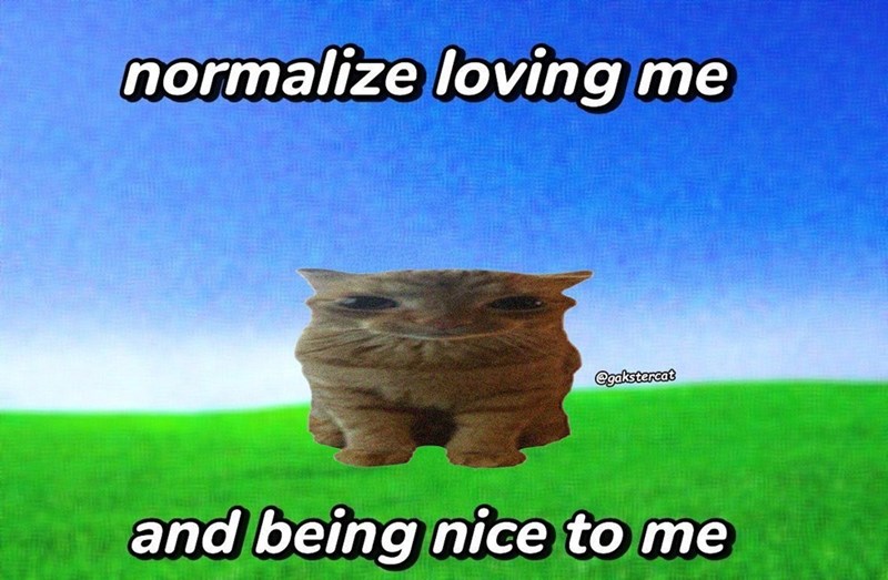normalize loving me @gakstercat and being nice to me