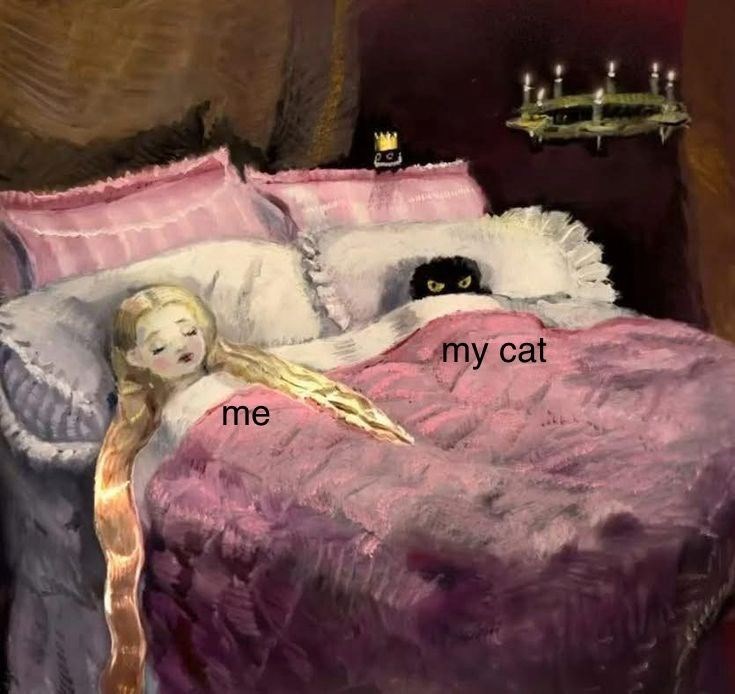 me my cat