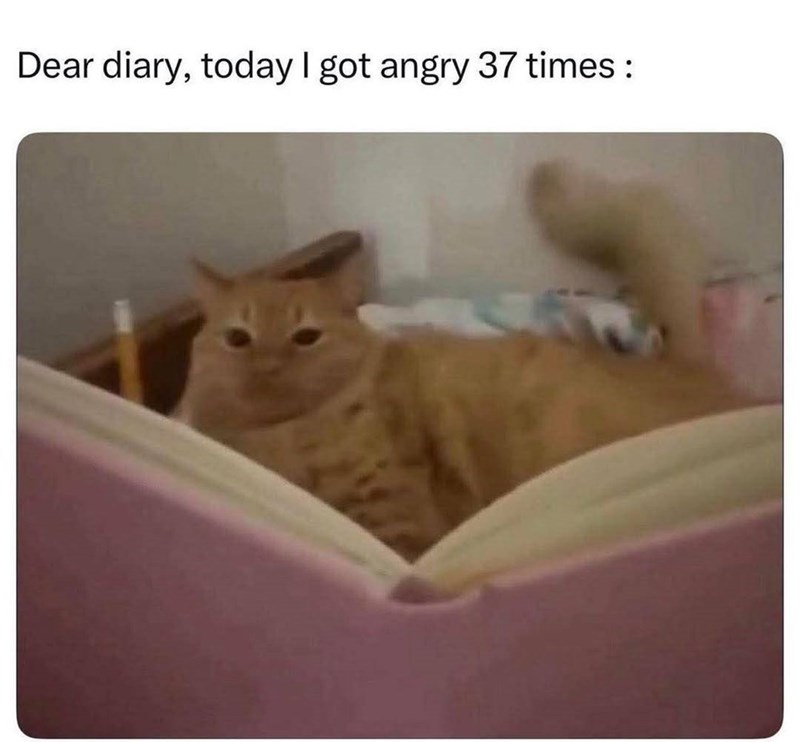 Dear diary, today I got angry 37 times :
