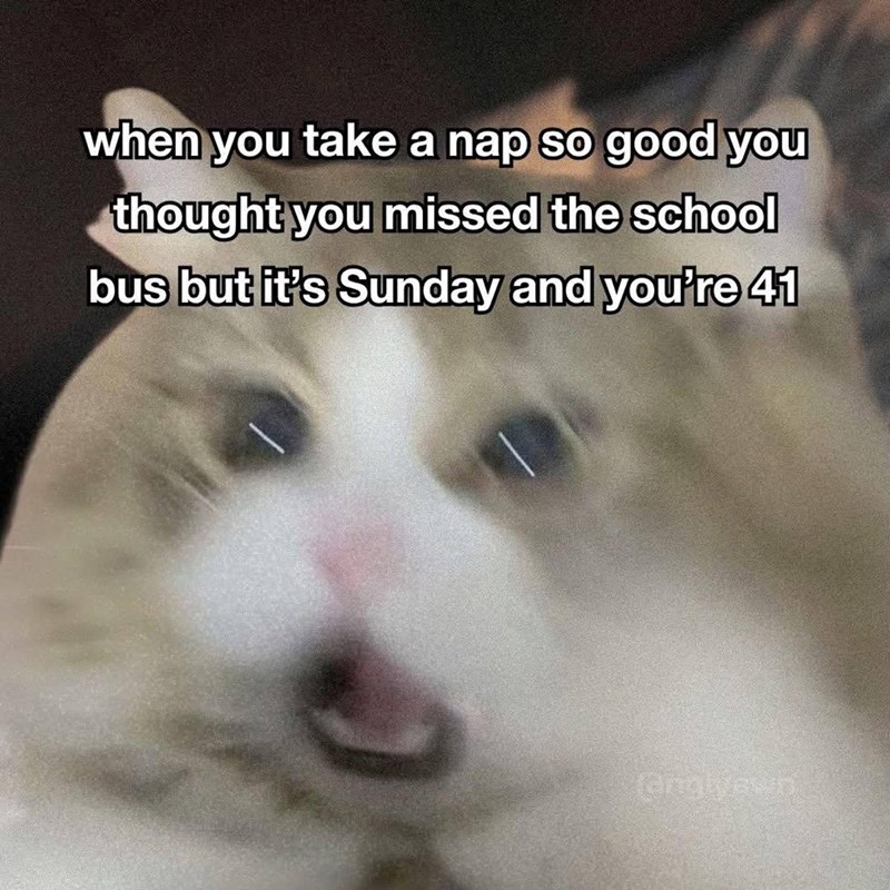 when you take a nap so good you thought you missed the school bus but it's Sunday and you're 41 (anglyesn