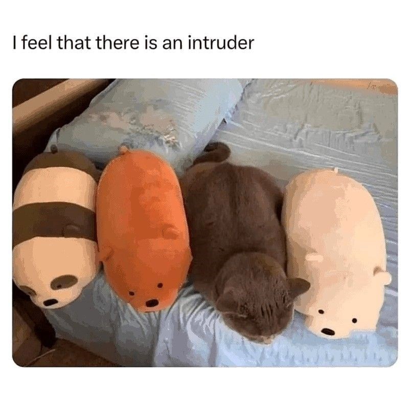 I feel that there is an intruder