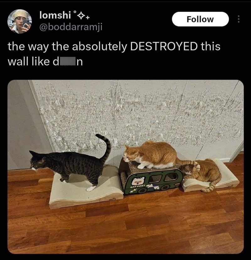 lomshi+ @boddarramji Follow the way the absolutely DESTROYED this wall like d n CAT POST
