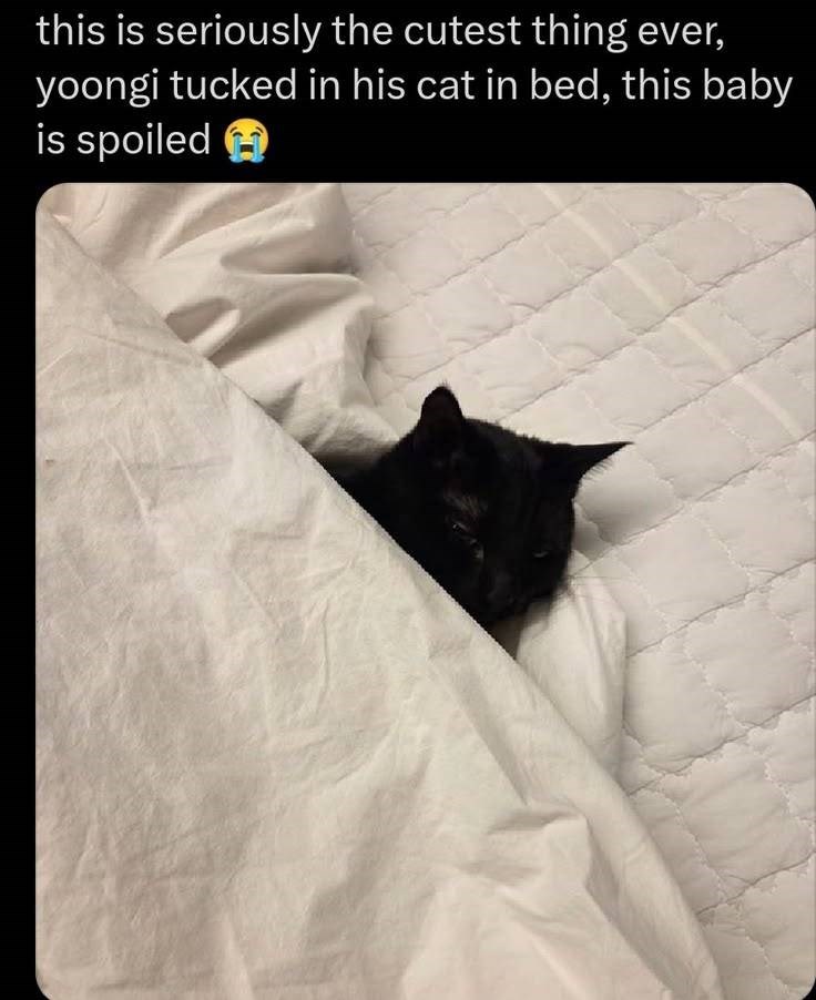 this is seriously the cutest thing ever, yoongi tucked in his cat in bed, this baby is spoiled