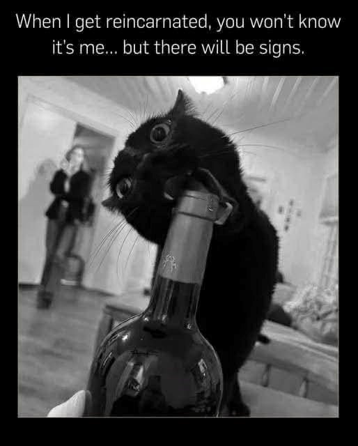 When I get reincarnated, you won't know it's me... but there will be signs.