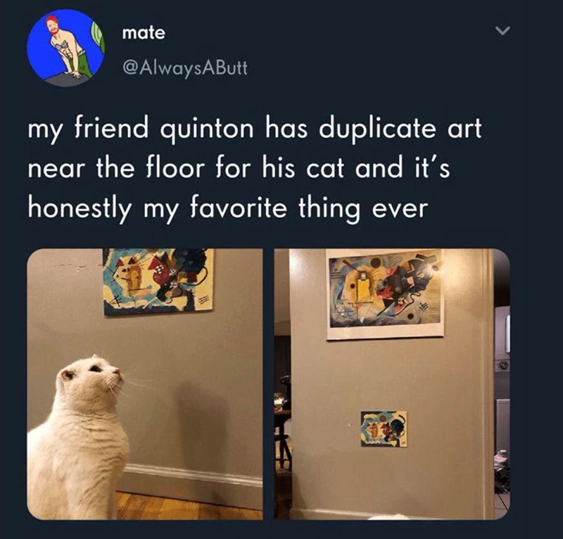 mate @AlwaysAButt my friend quinton has duplicate art near the floor for his cat and it's honestly my favorite thing ever