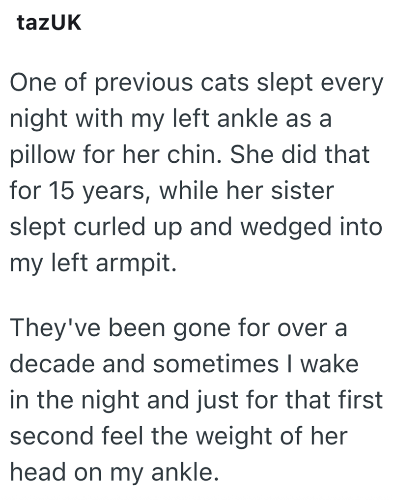 tazUK One of previous cats slept every night with my left ankle as a pillow for her chin. She did that for 15 years, while her sister slept curled up and wedged into my left armpit. They've been gone for over a decade and sometimes I wake in the night and just for that first second feel the weight of her head on my ankle.