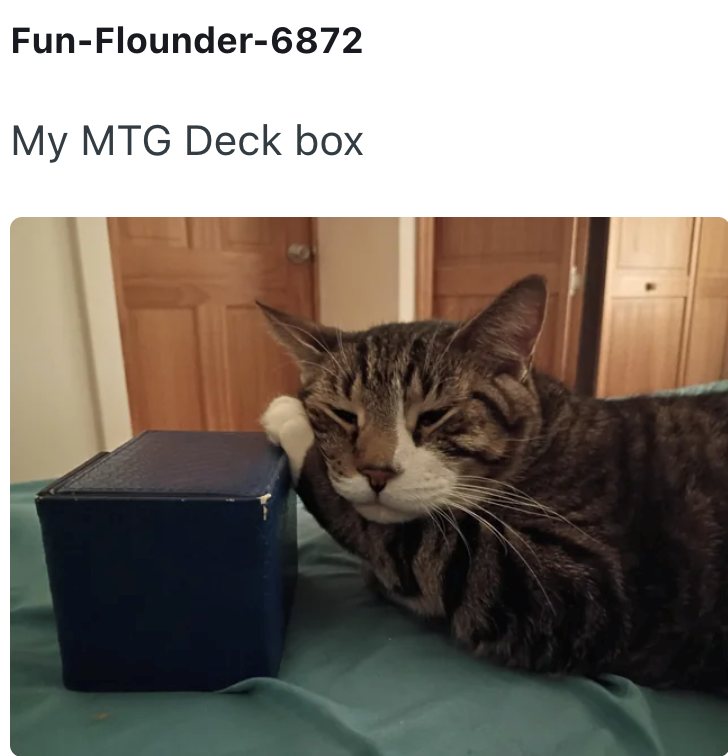 Fun-Flounder-6872 My MTG Deck box