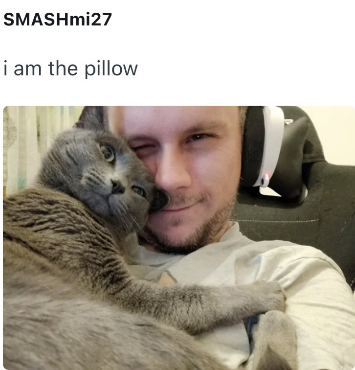 SMASHmi27 i am the pillow